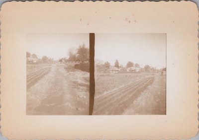 1950s Photo of Dirt Road Through Plowed Fields Past Village Houses Split Frame
