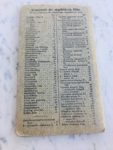 Folleto Pilze Piccolo Atlante De Setas Por Schreiber Alemán Old Atlas Raro - Imagen 9 de 9