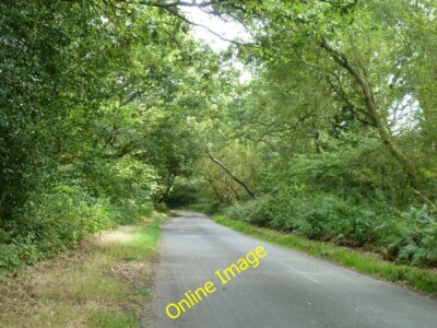 Foto 6x4 Rye Grove Brook Place\/SU9561 Manor Farm Wood is to the left, t c2014