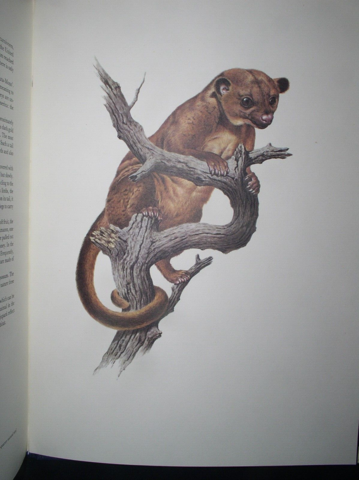 Picture 7 of 12