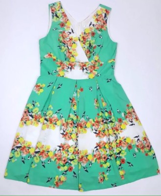 Dressbarn Dress Sz Empire Green Floral Birds Sleeveless