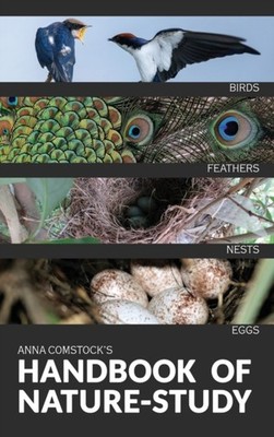 Comstock - Handbook Of Nature Study in Color - Birds - New hardback or - X555z