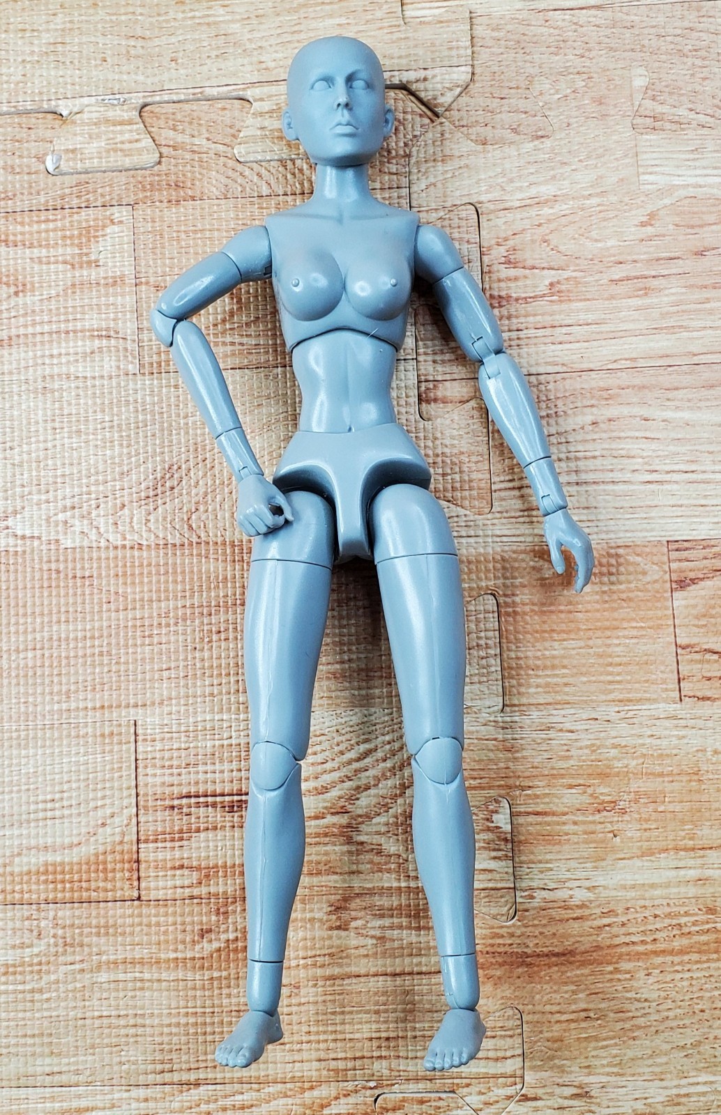 Gray Art Drawing Model 2006