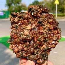 1.19LB  Natural Garnet with rock Gorgeous rough raw Crystal Mineral Specimen
