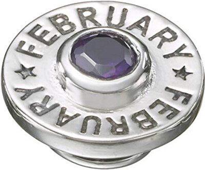 Kameleon Jewel Pop KJP421 February BirthPop