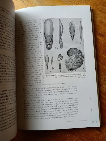 Picture 4 of 5