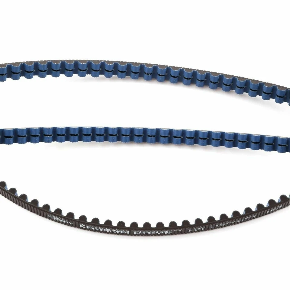 盖茨 CDX 皮带 113 牙蓝色/黑色碳纤维驱动齿形皮带中心轨道 — 第 4/4 张图片