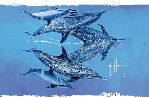 Tervis - Stainless Steel Tumbler 20oz - Dolphins - Picture 4 of 4