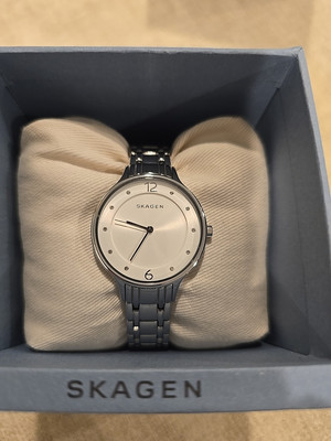 Skagen Women's SKW2320 Anita Stainless Steel Link Watch