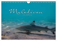 "Calendar 2027 · US Version · Maldives Underwater World I (Wall Calendar 2027 12\""