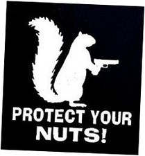Protect Your Nuts Funny Squirrel Decal Vinyl Sticker Cars Trucks Walls Laptop 