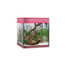Acquario Askoll Pure kit M LED 44 Lt 36x36x43,5h completo di sistema filtraggio