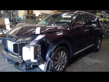 Driver Left Air Bag Driver Roof Fits 20-23 PALISADE 1644512