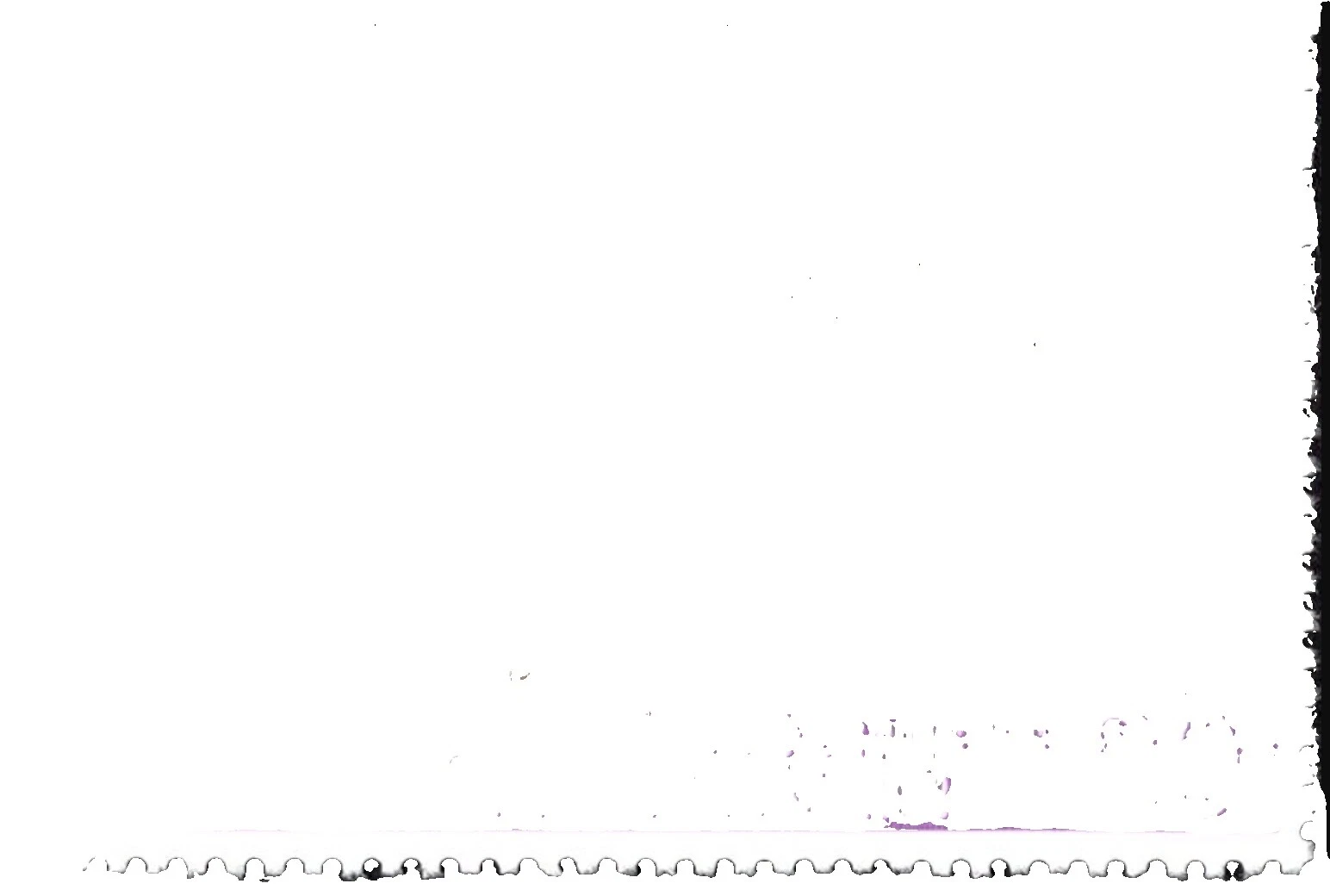 Mint Never Hinged/MNH Postage Malawian Stamps (1964-Now)