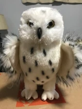 Snowy Owl- Plush Stuffed Animal with scholastic informational book