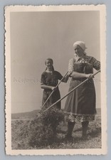 2 Frauen bei der Heuernte - Landwirtschaft - altes Foto 1930er