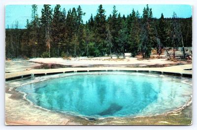 Postcard Morning Glory Pool in Yellowstone National Park Blue Hot Spring c1953