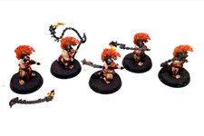 Warhammer Dwarf Fyreslayers Hearthguard Well Painted JYS27