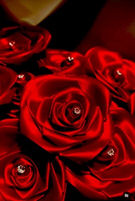 Hellrote Rosen mit Diamanten (20 in einem Blumenstrauß)