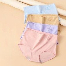3 Pack Lot Womens Brief Underwear High Waist Tummy Control Panties Full Coverage