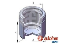 Autofren Seinsa Kolben, Bremssattel D025107 FüR Vw