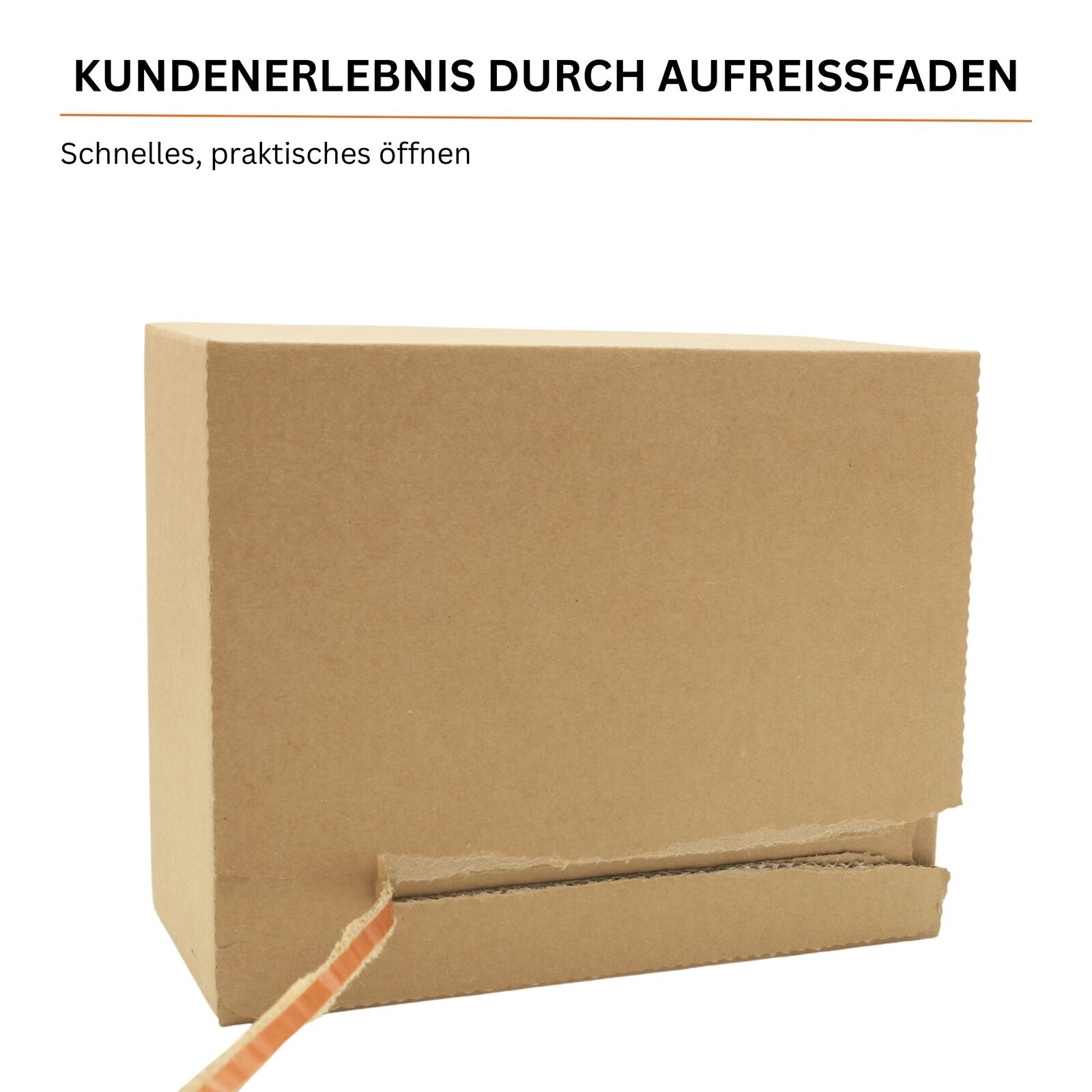 Bild 12 von 82