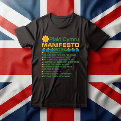T-Shirt kariertes Cymru-Manifest, UK Elections 2024 T-Shirt, stimmen Sie für kariertes Cymru T-Shirt