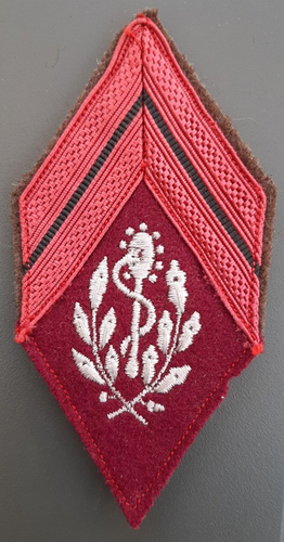Insigne Pharmacien Armée Française 1945 – Broderie Or & Caducée – Original