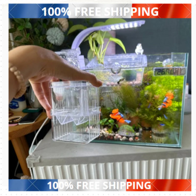 Handgefertigte multifunktionale Fischzuchtbox, Doppelstift Brutinkubator FR