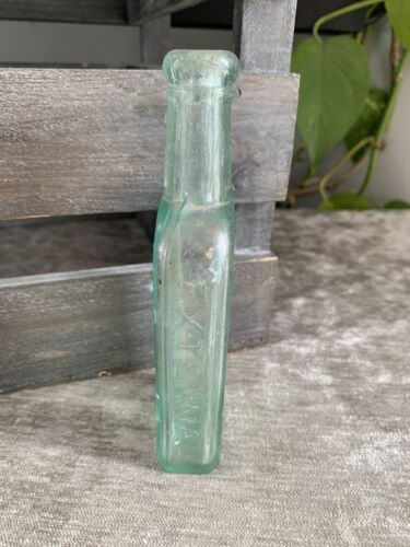 Early 1900's Dr S N Thomas Eclectric Oil Northrop And Lyman Co Toronto Medicine - Bild 6 von 8