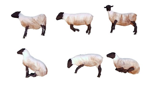 AN05 - Sheep Figures unpainted N scale - Picture 4 of 4