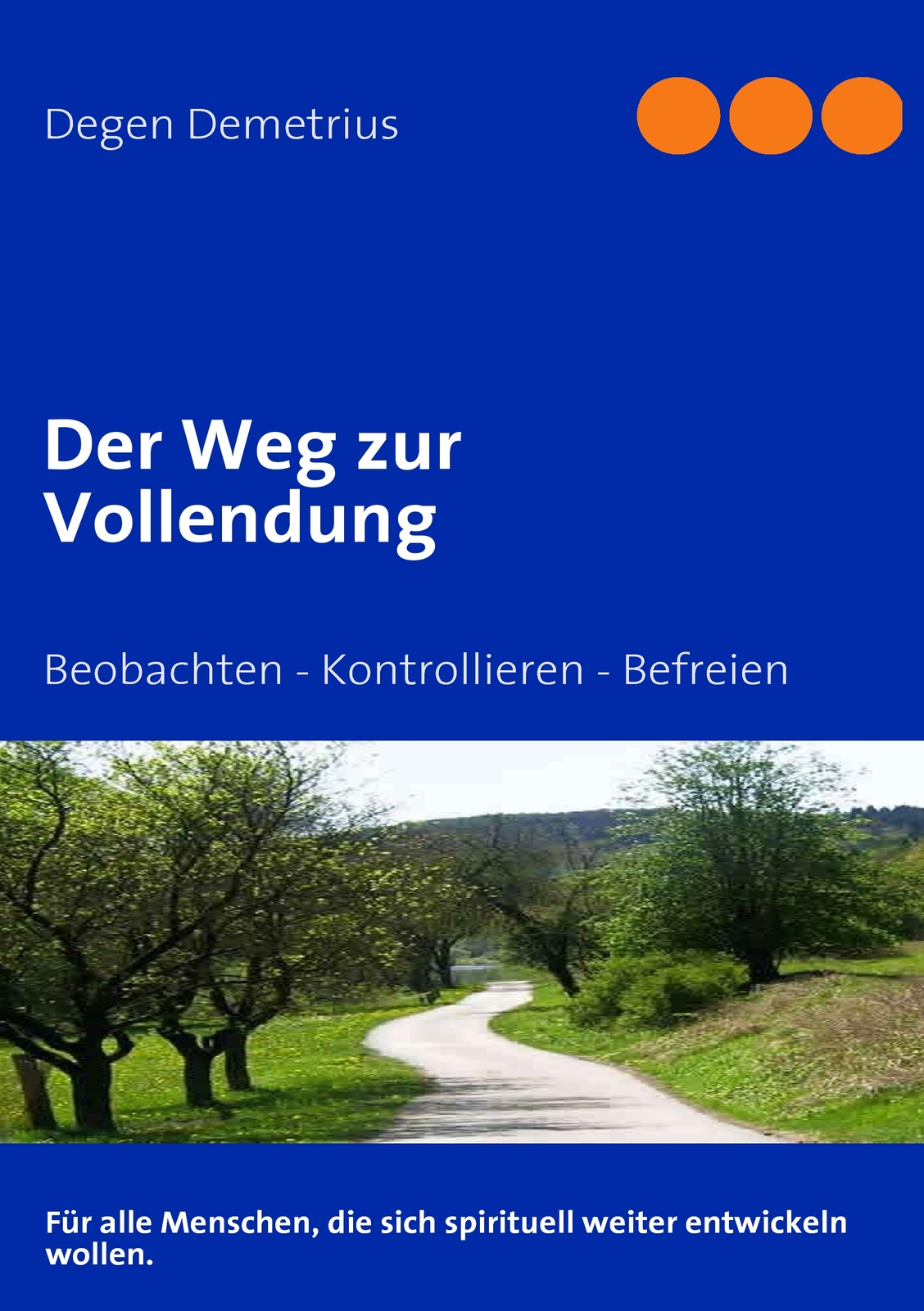 Thumbnail - Der Weg Zur Vollendung (buch)