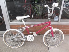schwinn freeform pro