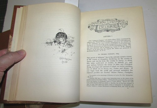 WHITE, Gilbert. The Natural History and Antiquities of Selborne. 2 vols. 1900 - Picture 3 of 4