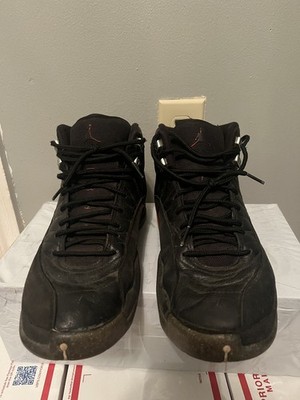 Air Jordan 12 Utility Black  Grind  DC1062-006 Men s Size 10 Retro 