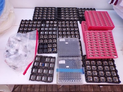 Lot 700 Robotics factory Arduino Rasberry Camera Parts. AHD Boards, 2MP IR lens