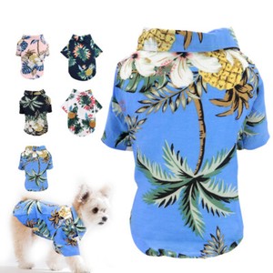dog beach shirt