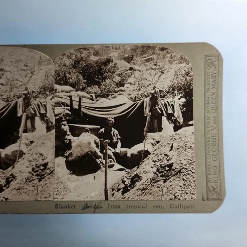 WW1 Military Stereoview C1916 Real Photo Turkey Gallipoli Bushcraft  Shelter