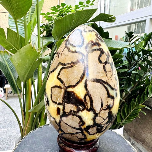 8.58LB Natural Turtle Back Stone Egg Shape Dragon Crystal Crack Mineral specimen - Picture 6 of 19