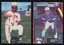 Choose Your Minor League Player Card Lot, Last Name Begins with C, Free Shipping