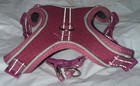 EveryYay Pink Reflective Trim Dog Harness, X-Small/Small Walking Leash Buckle — photo 3