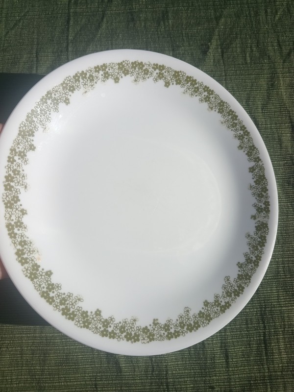 Corelle Spring Blossom Green 8-1/2" Salad Plate Crazy Daisy 