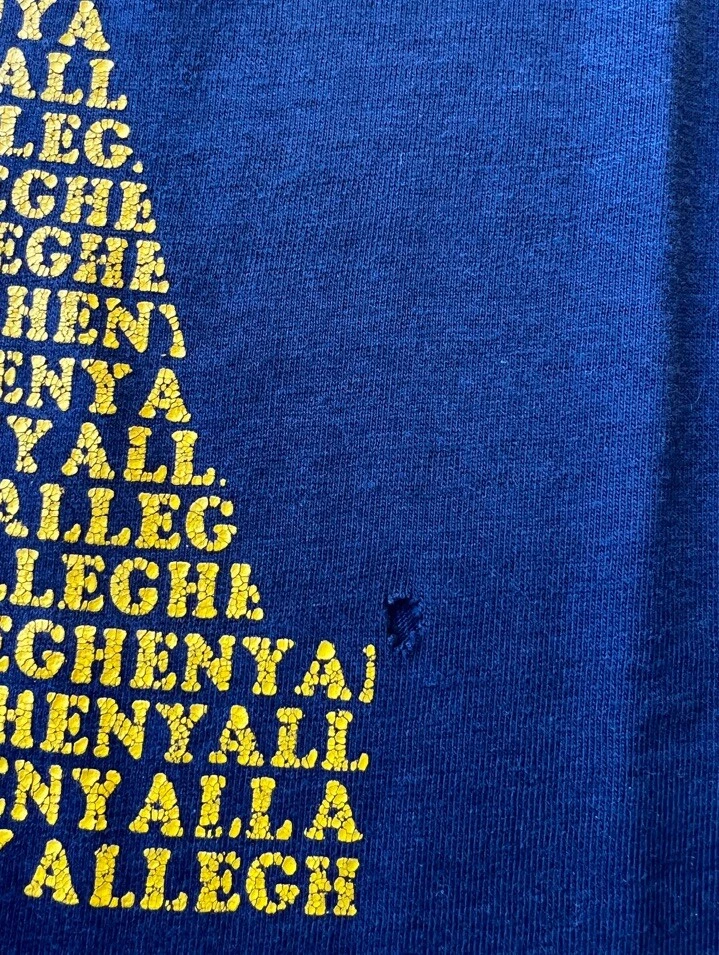 Camiseta deportiva universitaria vintage de los 80 Collegiate Pacific Allegheny M azul 3/4 Foto 3 de 4