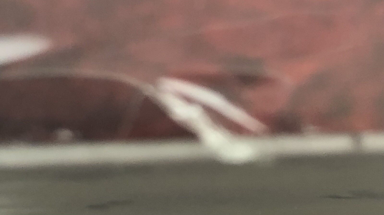 Picture 10 of 10