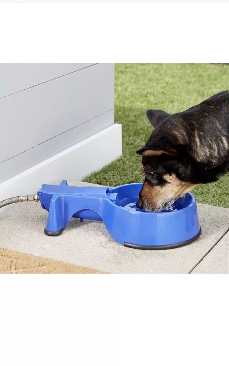 The Easy-Clean Auto-Fill Water Dog Bowl with 5" Braided Stainless Steel  Hose | eBay