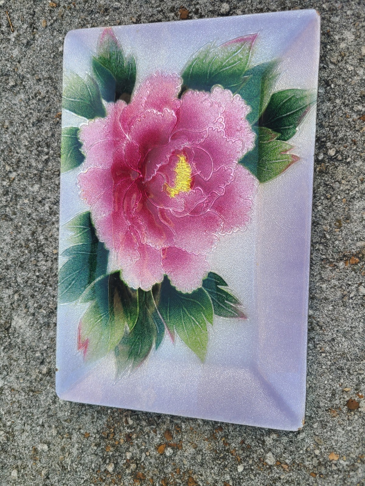 Picture 5 of 8