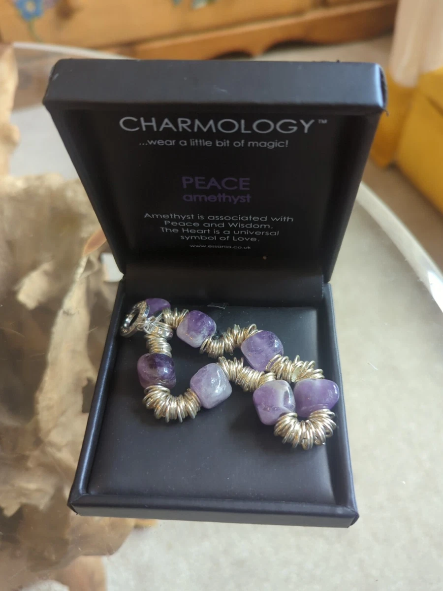Charmology amethyst best sale bracelet