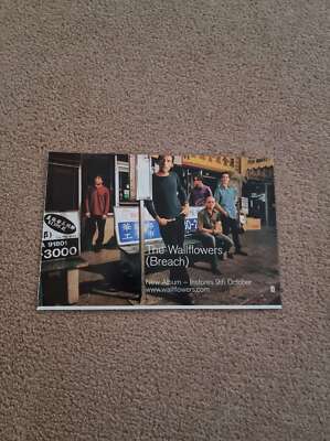 TNEWM106 ADVERT 5X8 THE WALLFLOWERS : BREACH ALBUM