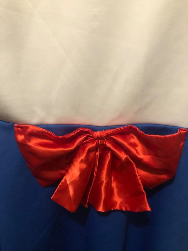 Vestido Cosplay Sailor Moon Adulto XL 2017 Hot Topic Azul y Blanco Naomi Takeuchi Foto 4 de 4