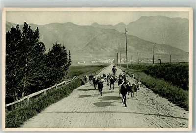 39930011 - Herd of Goats on the Way to a Pasture in the Engadine No. 2013
